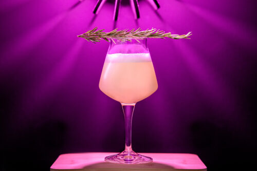 Cocktail Drink Bar Fotoshooting