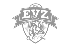 EVZ Logo EVZ